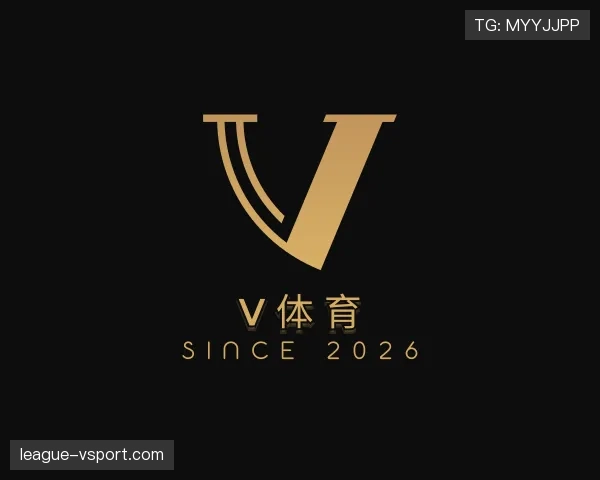 关于V体育